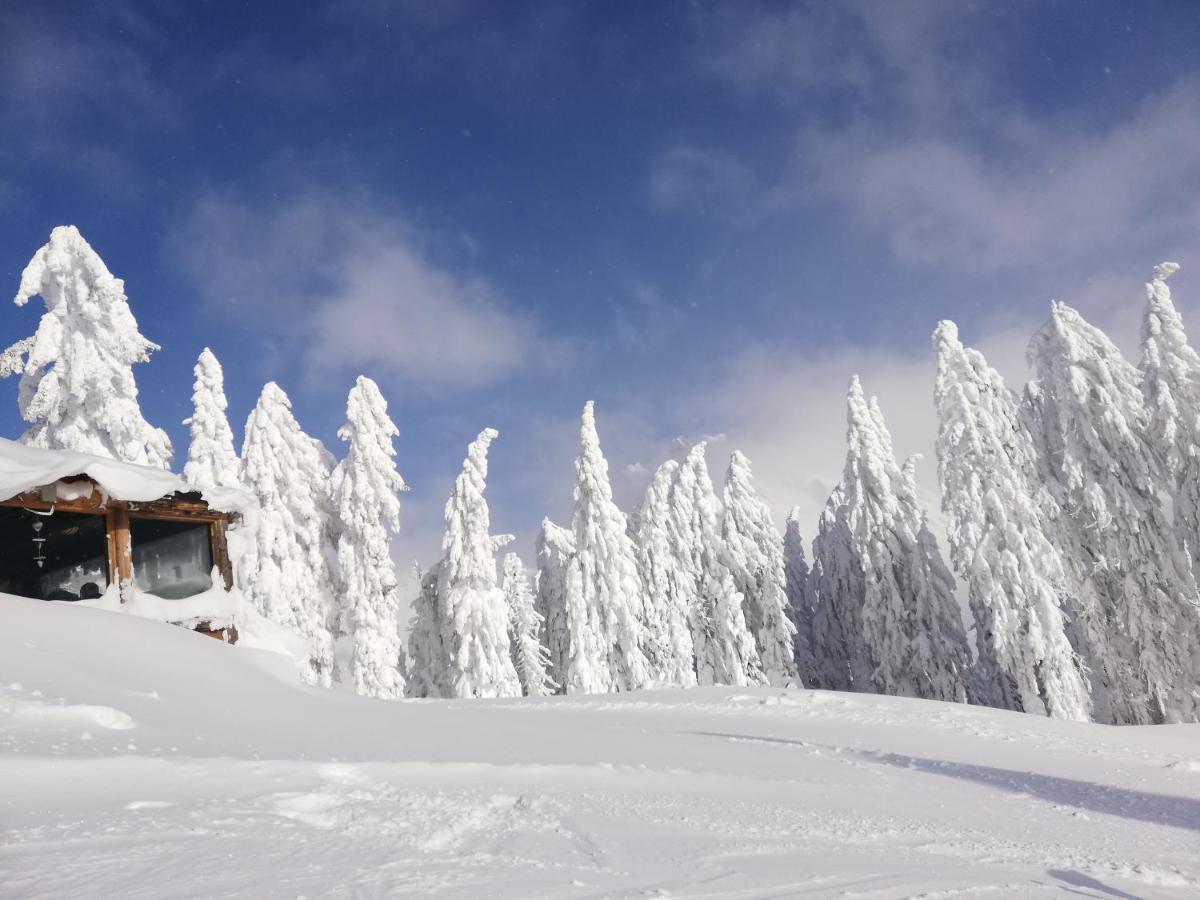Haus Dienten Top 11 Dienten am Hochkönig Zewnętrze zdjęcie